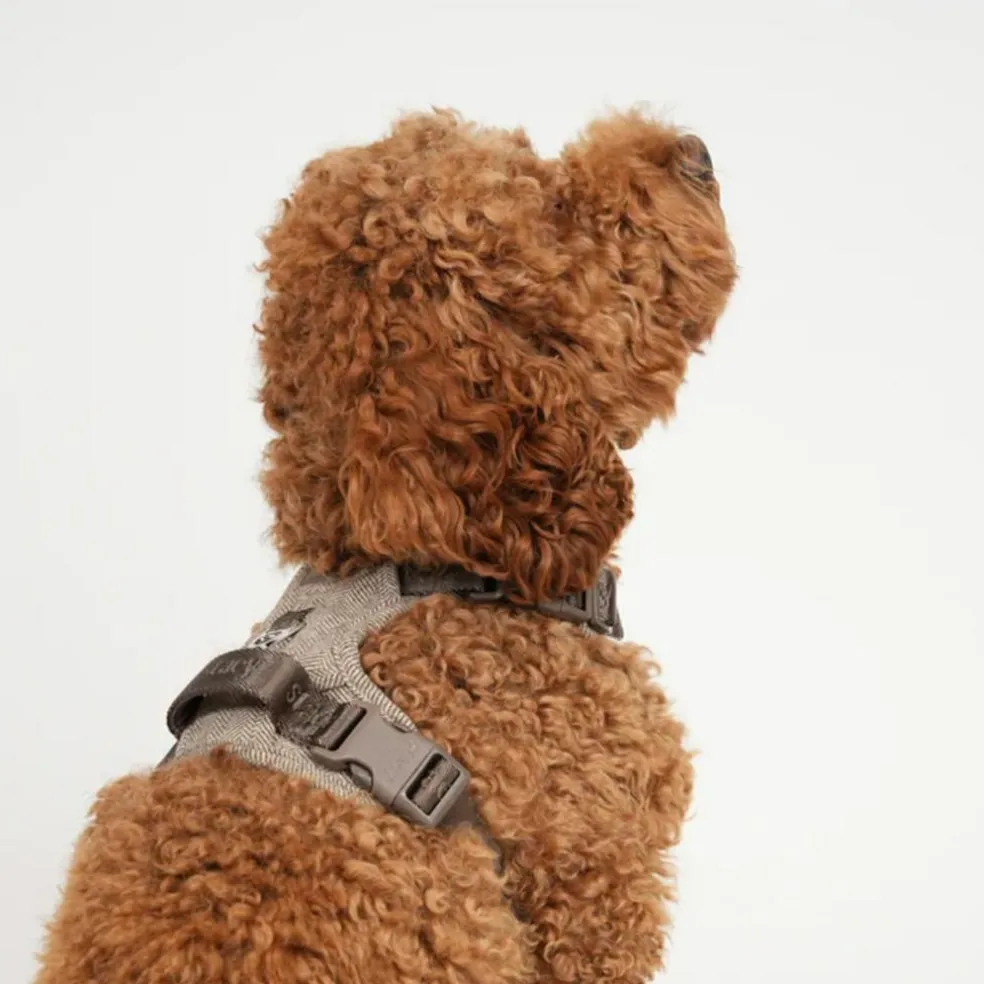 Elma Harness