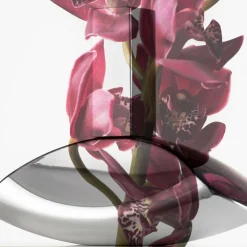 Euphoria Eau de Parfum