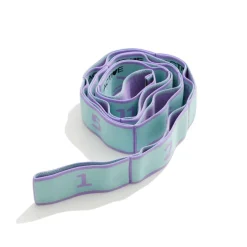 Exerciseband