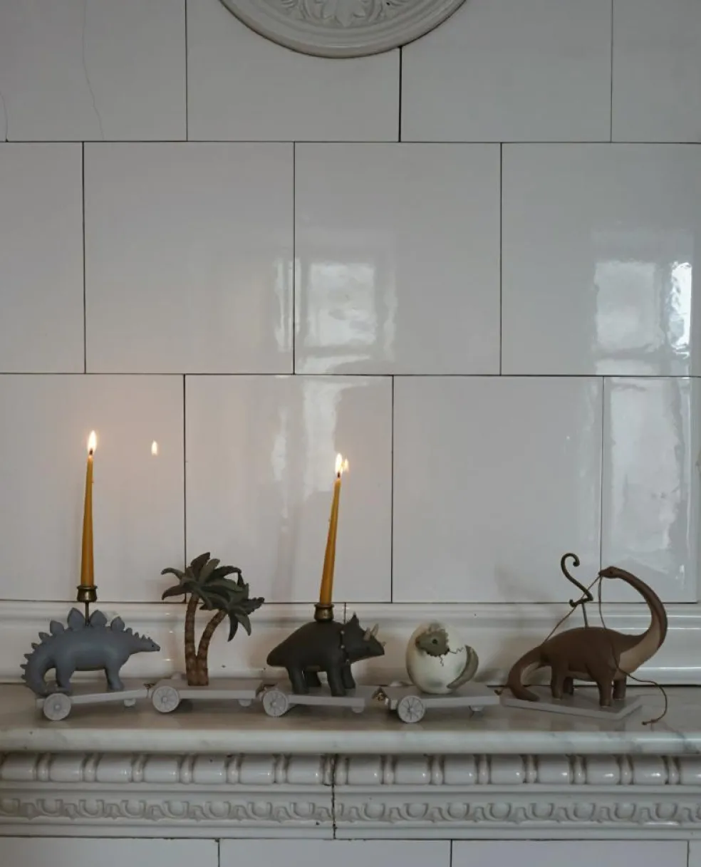 Fødselsdagstog