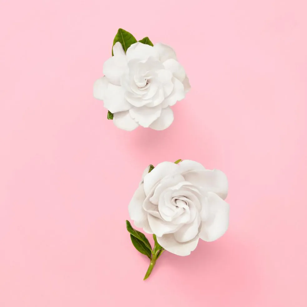 Flora Gorgeous Gardenia Eau de Parfum