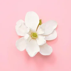 Flora Gorgeous Jasmine Eau de Parfum