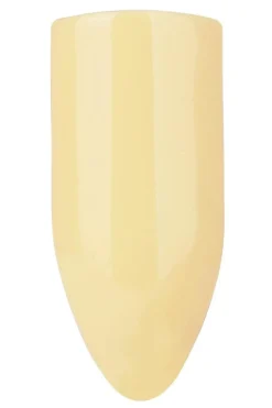 Gel Polish