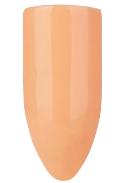 Gel Polish