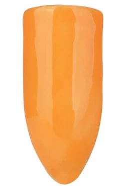 Gel Polish