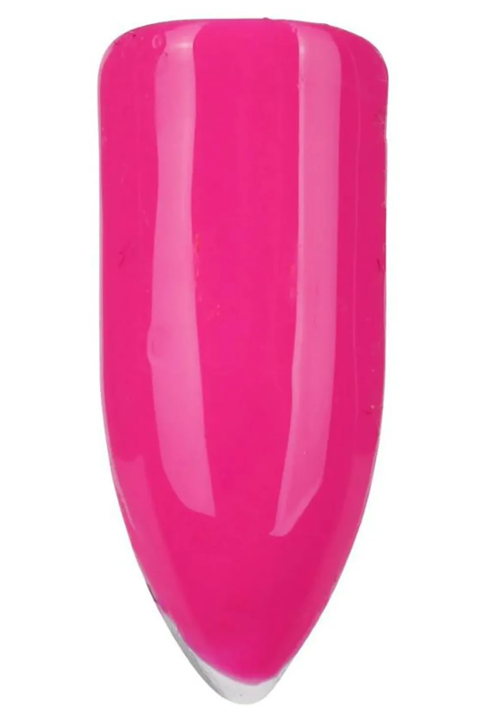 Gel Polish