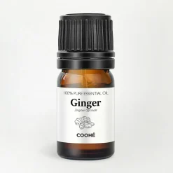 Ginger Essential Oil