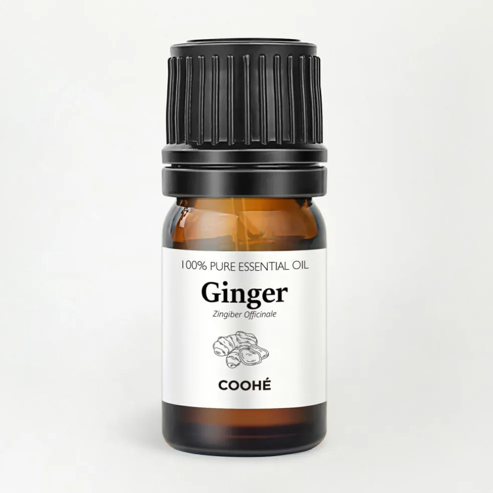 Ginger Essential Oil