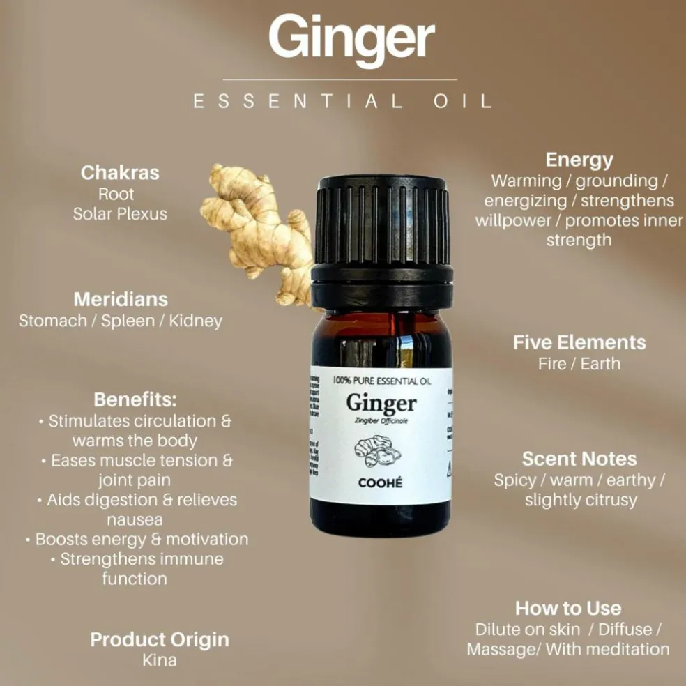 Ginger Essential Oil