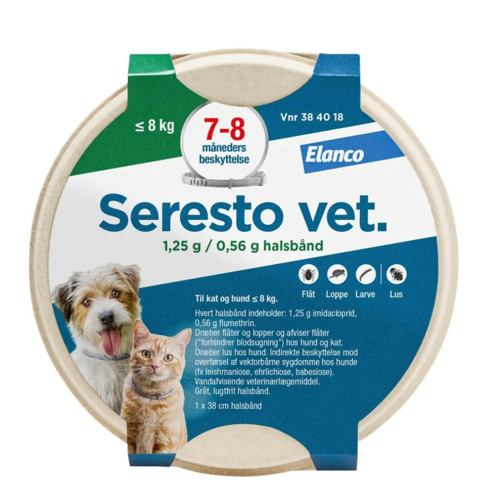 Halsbånd til Hund og Kat