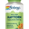 Havtorn