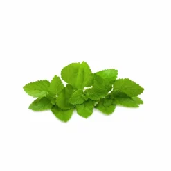 Herbal Tonic
