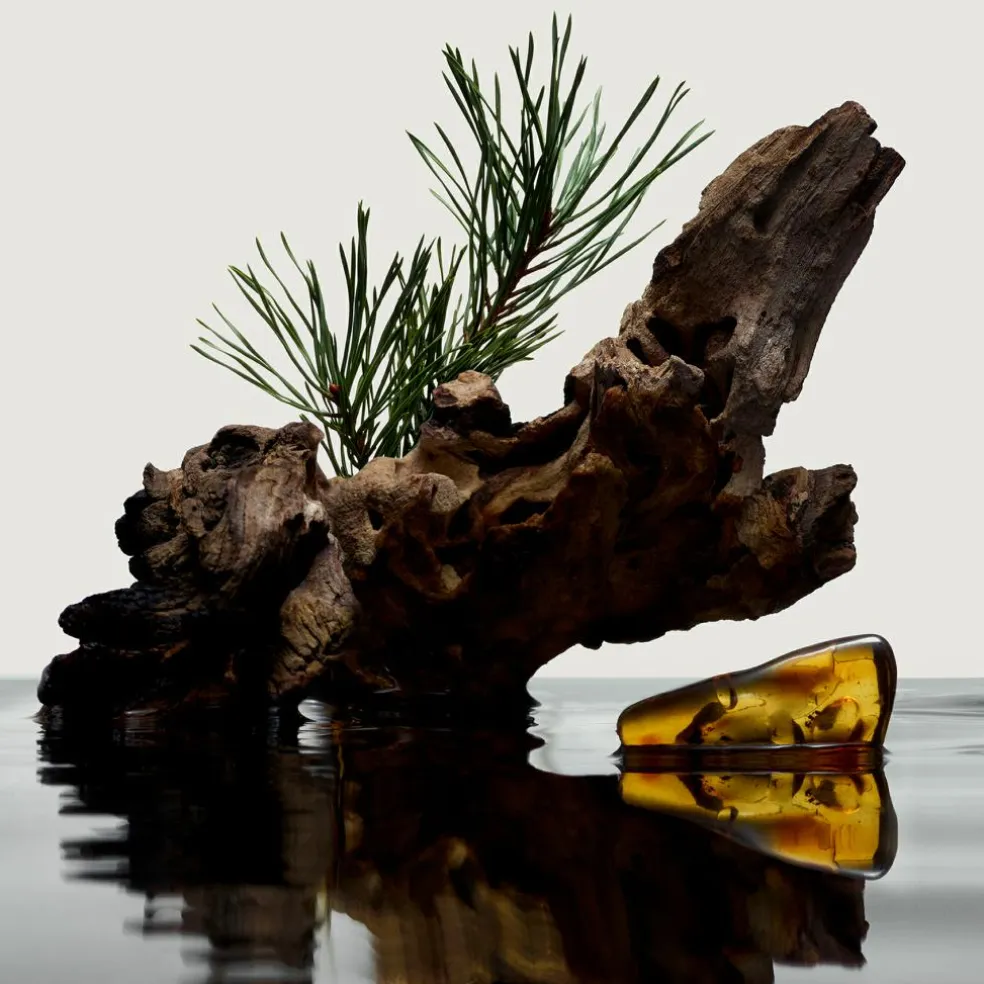 Hero Eau de Parfum