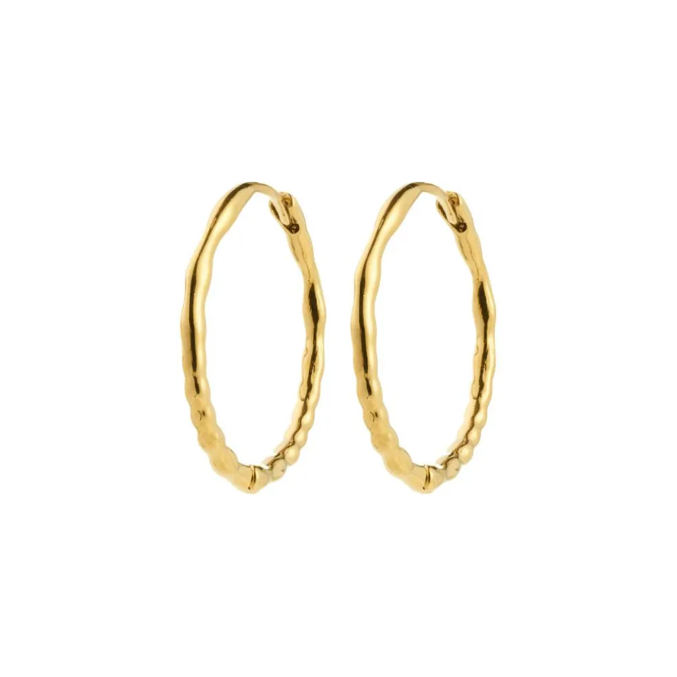 Hoops