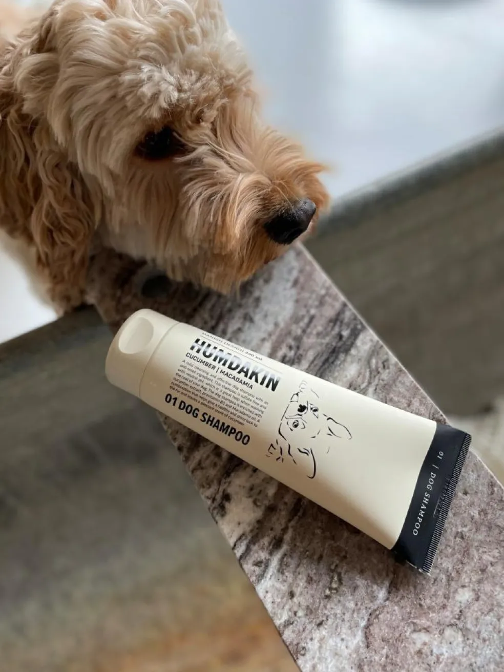 Hunde Shampoo
