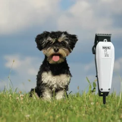 Hundeklipper