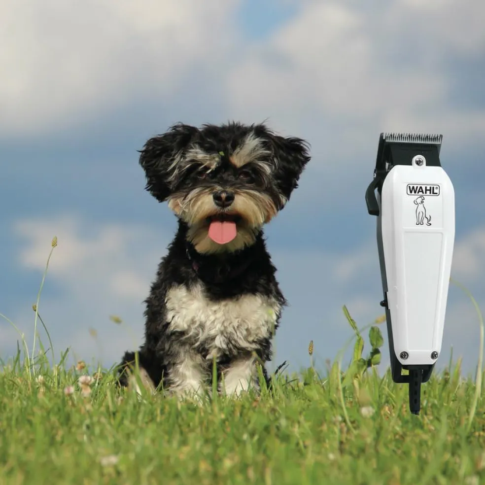 Hundeklipper