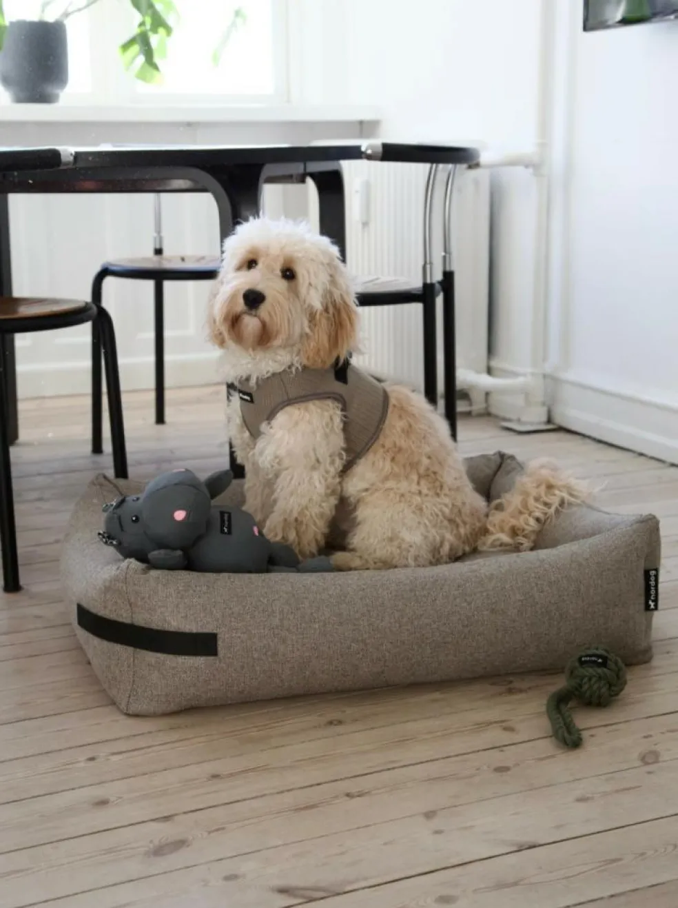 Hundeseng Hygge