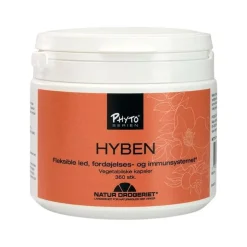 Hyben 485 mg