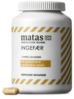 Ingefær