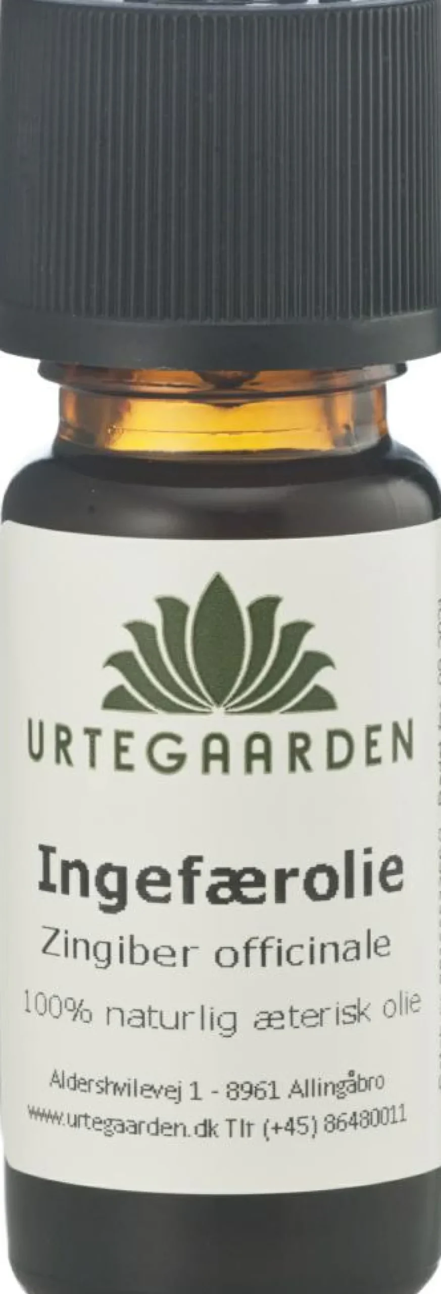 Ingefærolie