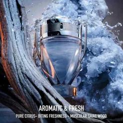 Invictus Eau de toilette