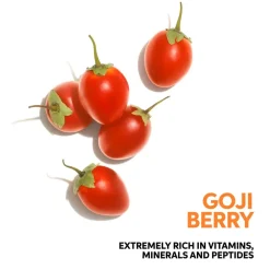 Invigo Nutri Enrich Frizz Control Cream