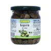 Kapers i lage Ø