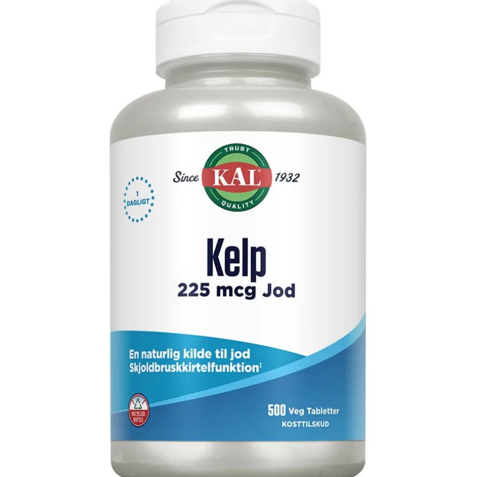 Kelp
