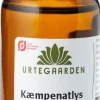 Kæmpenatlysolie Ø