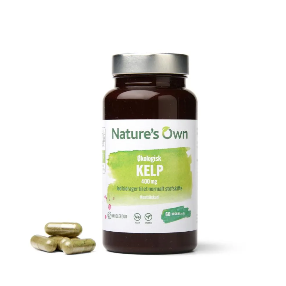 Økologisk Kelp