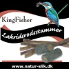 Lakridsrodstammer