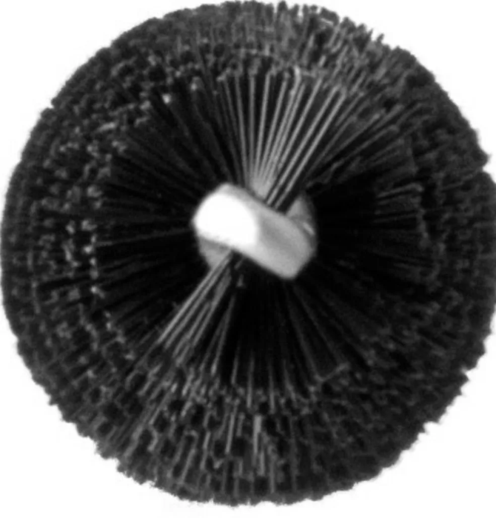 Lash Brush