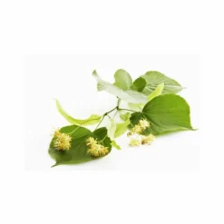 Lindengloss Intensive Hair Mask