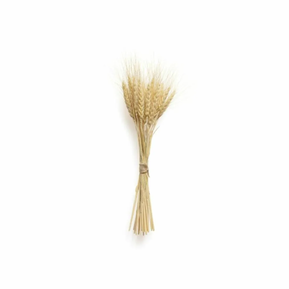 Lindengloss Intensive Hair Mask