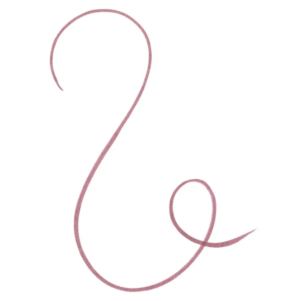 Line N' Stain! Tattoo Lip Liner
