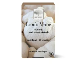 Lions Mane