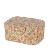 Lunch Box Kaluka