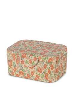 Lunch Box Kaluka