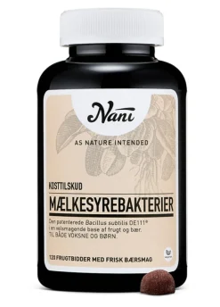 Mælkesyrebakterier