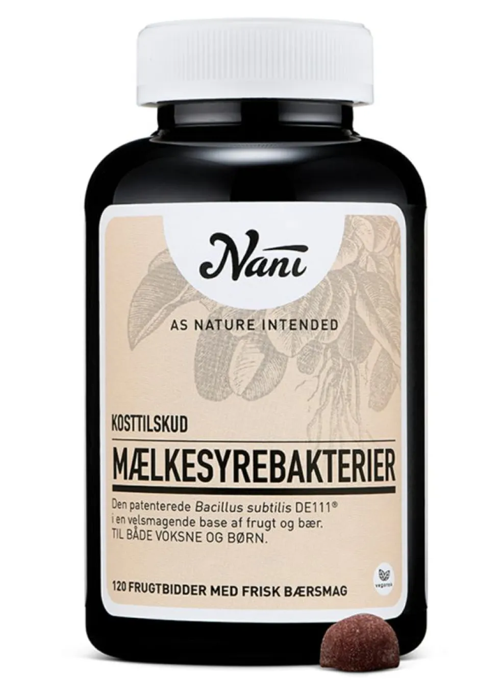 Mælkesyrebakterier
