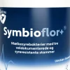 Mælkesyrebakterier