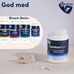 Mælkesyrebakterier