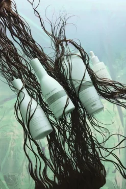 Moisture Shampoo