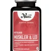Muskler & Led