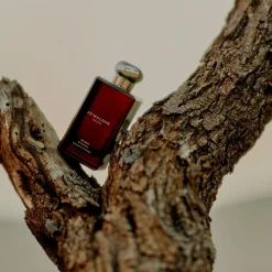 Myrrh & Tonka Cologne Intense