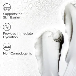 Natural Moisturizing Factors + HA