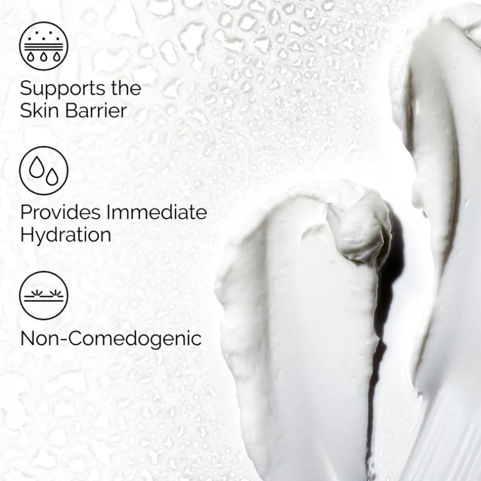 Natural Moisturizing Factors + HA
