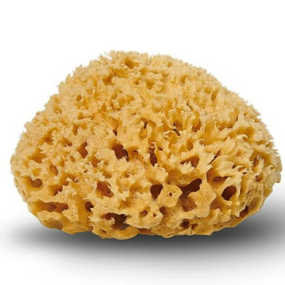 Natursvamp