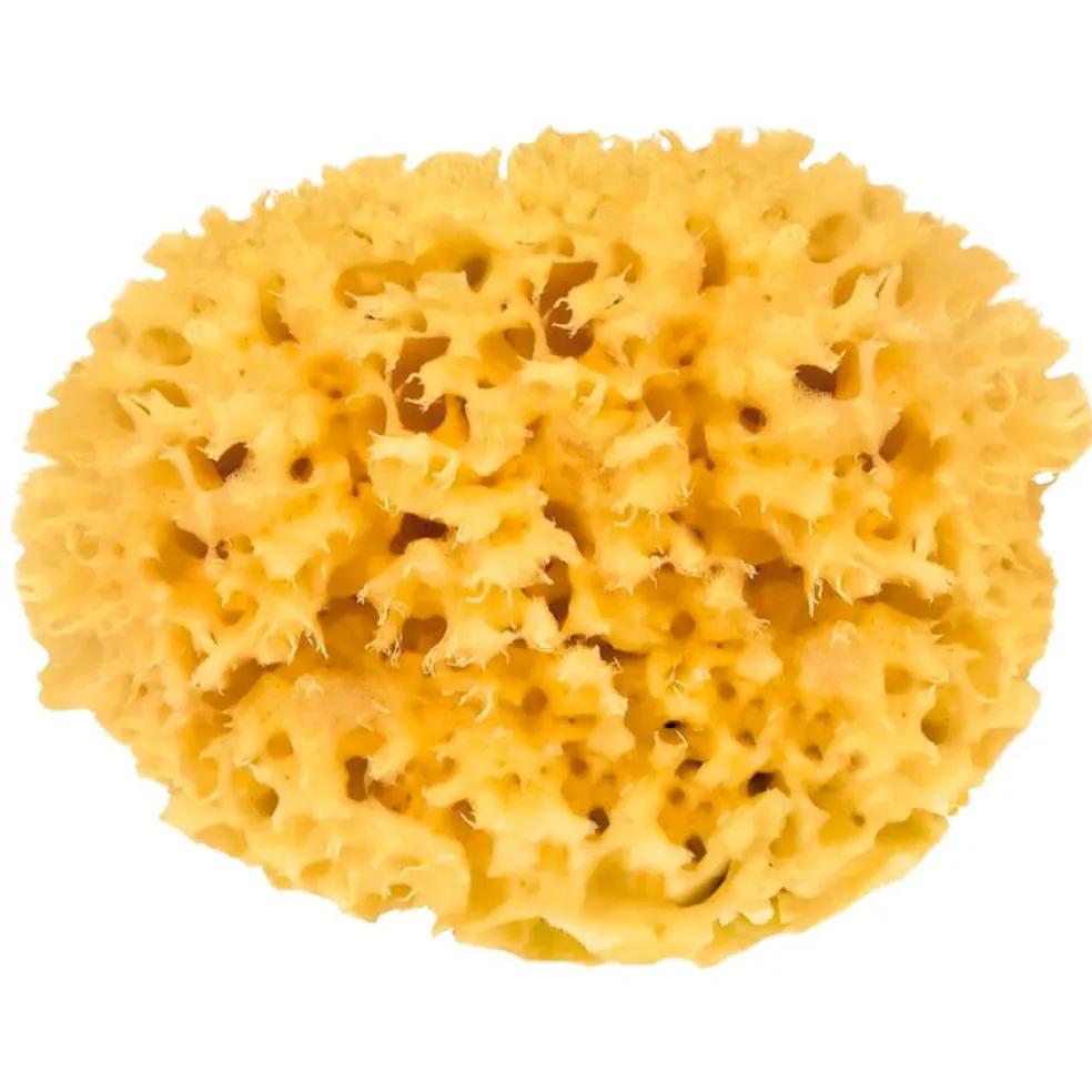 Natursvamp